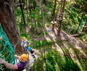 TreeTop Challenge Currumbin - Sunshine Coast Guide 2