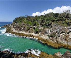 North Gorge Walk - Sunshine Coast Guide 3