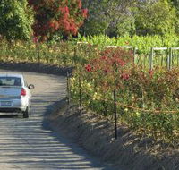 Cassegrain Wines