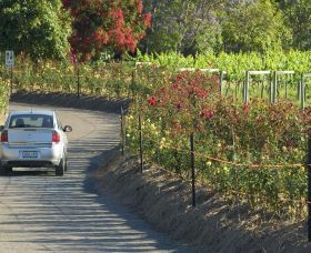 Cassegrain Wines - Sunshine Coast Guide 0