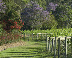 Cassegrain Wines - Sunshine Coast Guide 1