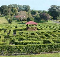 Amaze n Place - Sunshine Coast Guide