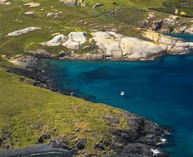 Montague Island Nature Reserve - Sunshine Coast Guide 1