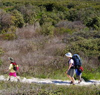 Yuraygir coastal walk