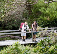 Wilsons Headland walking track