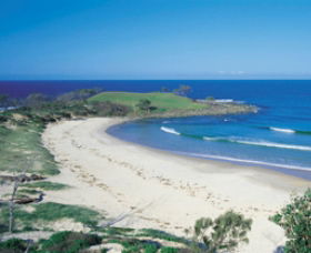 Angourie Beach - Sunshine Coast Guide 1