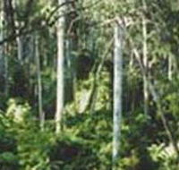 Lind National Park - Sunshine Coast Guide