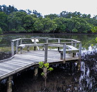 Walk on Water walking track - Sunshine Coast Guide