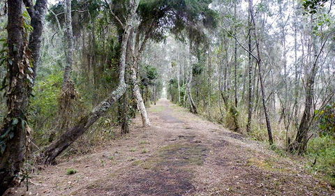 Walk On Water Walking Track - Sunshine Coast Guide 2