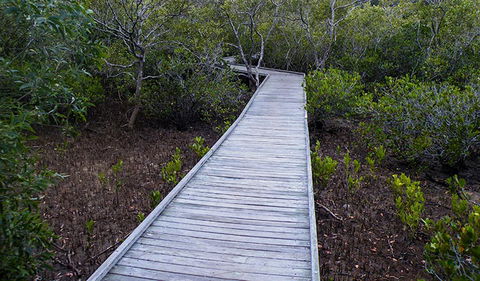 Walk On Water Walking Track - Sunshine Coast Guide 3