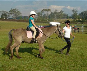 Port Macquarie Horse Riding Centre - Sunshine Coast Guide 0
