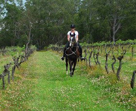 Port Macquarie Horse Riding Centre - Sunshine Coast Guide 1