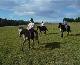 Port Macquarie Horse Riding Centre - Sunshine Coast Guide 5