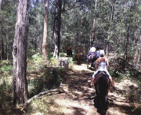 Port Macquarie Horse Riding Centre - Sunshine Coast Guide 4