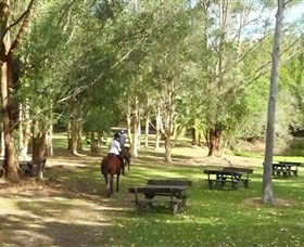 Port Macquarie Horse Riding Centre - Sunshine Coast Guide 6