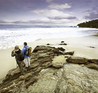 Wilderness Coast Walk - Sunshine Coast Guide