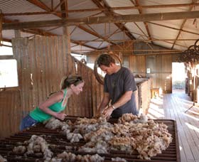 Peron Homestead - Sunshine Coast Guide 0