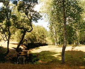 Oldina Picnic Area - Sunshine Coast Guide 0