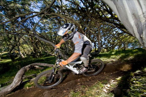 All Terrain Cycles - Sunshine Coast Guide 0