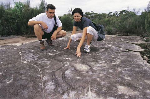 Sydney Coast Walks - Sunshine Coast Guide 3