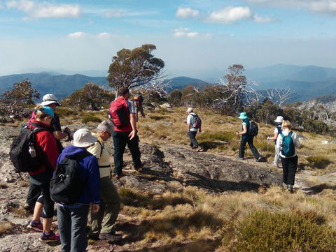 Hedonistic Hiking - Sunshine Coast Guide 0
