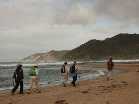 Hedonistic Hiking - Sunshine Coast Guide 2