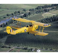 Royal Newcastle Aero Club - Sunshine Coast Guide