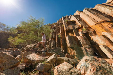 Nullarbor Traveller - Sunshine Coast Guide 20