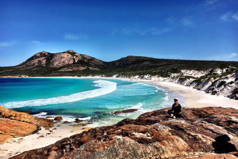 Nullarbor Traveller - Sunshine Coast Guide 24