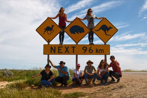Nullarbor Traveller - Sunshine Coast Guide 36
