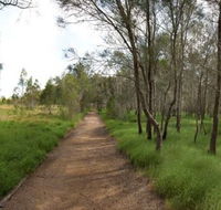 Billai dhagun Circuit Place of She-Oaks - Sunshine Coast Guide