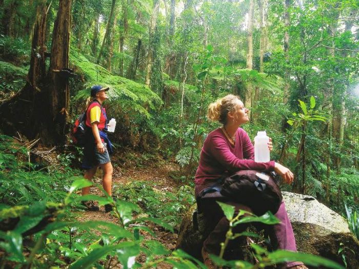  Sunshine Coast Guide