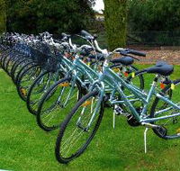 Barossa Bike  - Sunshine Coast Guide