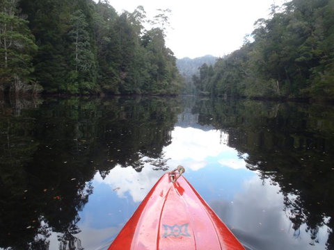 King River Rafting - Sunshine Coast Guide 1