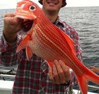 Goin' Off Safaris - Sunshine Coast Guide