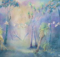 Territory Colours - Sunshine Coast Guide