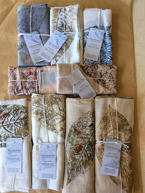 Ardleigh Cleveland Creative - Sunshine Coast Guide 0