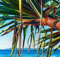Susan Schmidt Art - Sunshine Coast Guide