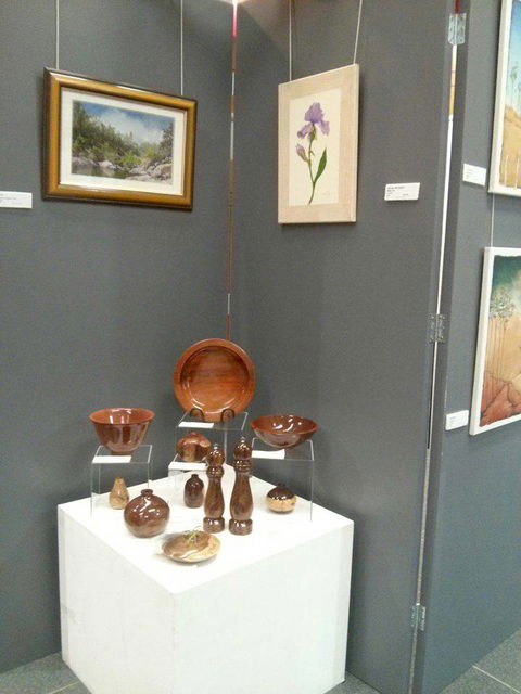 Townsville Art Society Inc - Sunshine Coast Guide 2