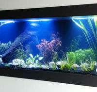 Aquariums in Cairns - Sunshine Coast Guide