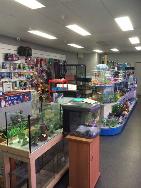 Nambour Pet Shop - Sunshine Coast Guide 0