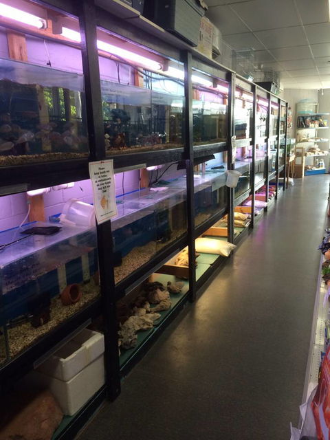 Nambour Pet Shop - Sunshine Coast Guide 1