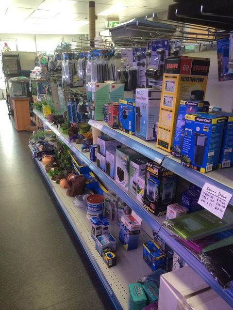Nambour Pet Shop - Sunshine Coast Guide 2