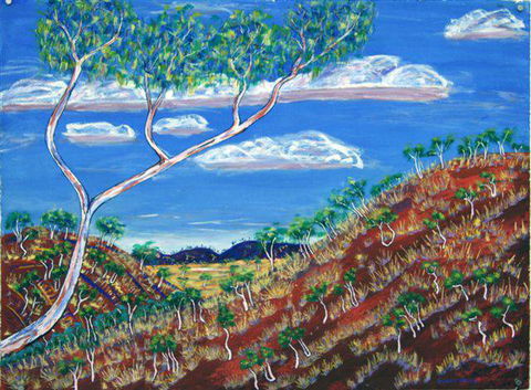 Gallery 48 - Sunshine Coast Guide 2
