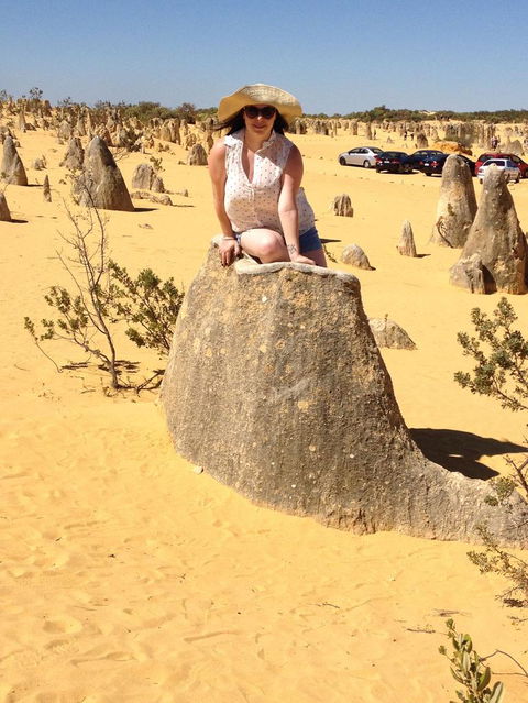 Pinnacles Desert, Koalas And Sandboarding 4WD Day Tour From Perth - Sunshine Coast Guide 18