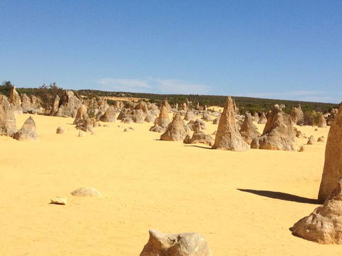 Pinnacles Desert, Koalas And Sandboarding 4WD Day Tour From Perth - Sunshine Coast Guide 15