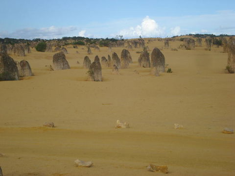 Pinnacles Desert, Koalas And Sandboarding 4WD Day Tour From Perth - Sunshine Coast Guide 23