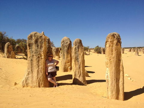 Pinnacles Desert, Koalas And Sandboarding 4WD Day Tour From Perth - Sunshine Coast Guide 17