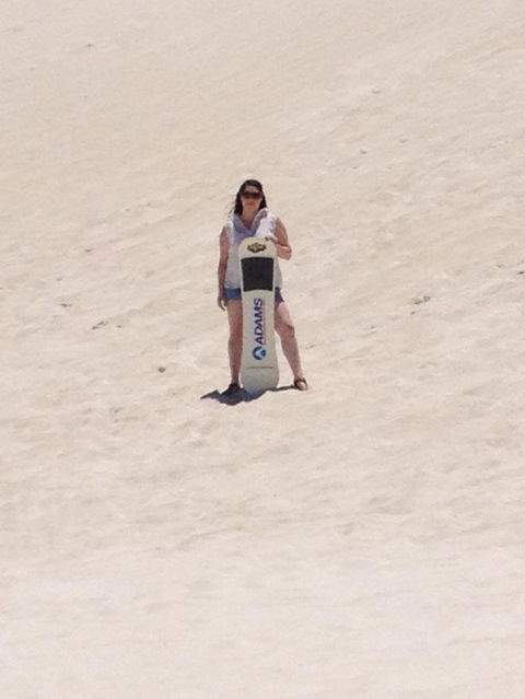 Pinnacles Desert, Koalas And Sandboarding 4WD Day Tour From Perth - Sunshine Coast Guide 21