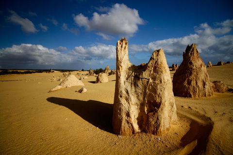 Pinnacles Desert, Koalas And Sandboarding 4WD Day Tour From Perth - Sunshine Coast Guide 6